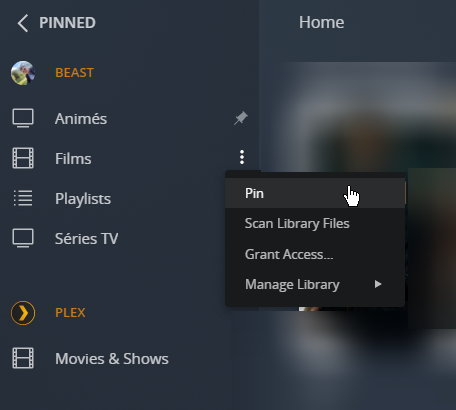 example_sections_épinglés